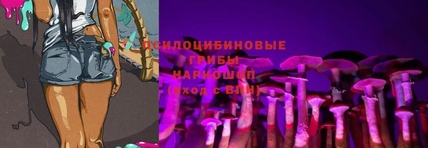 spice Балахна