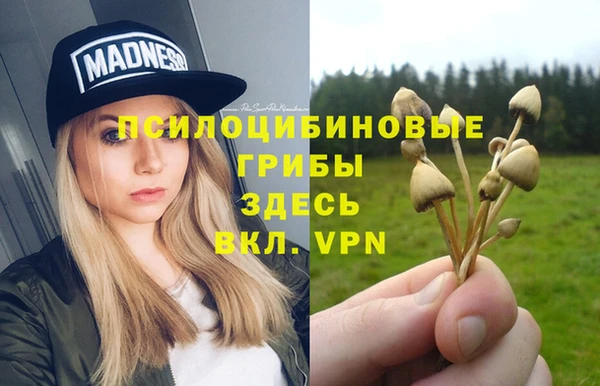 стафф Балабаново